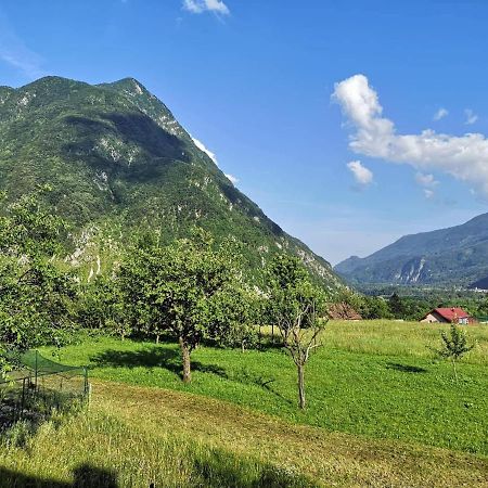 Apartament Apartma Floncna Bovec Zewnętrze zdjęcie