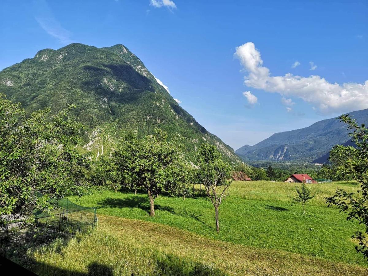 Apartament Apartma Floncna Bovec Zewnętrze zdjęcie