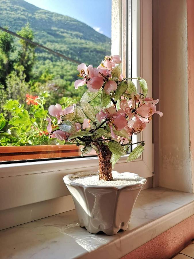 Apartament Apartma Floncna Bovec Zewnętrze zdjęcie